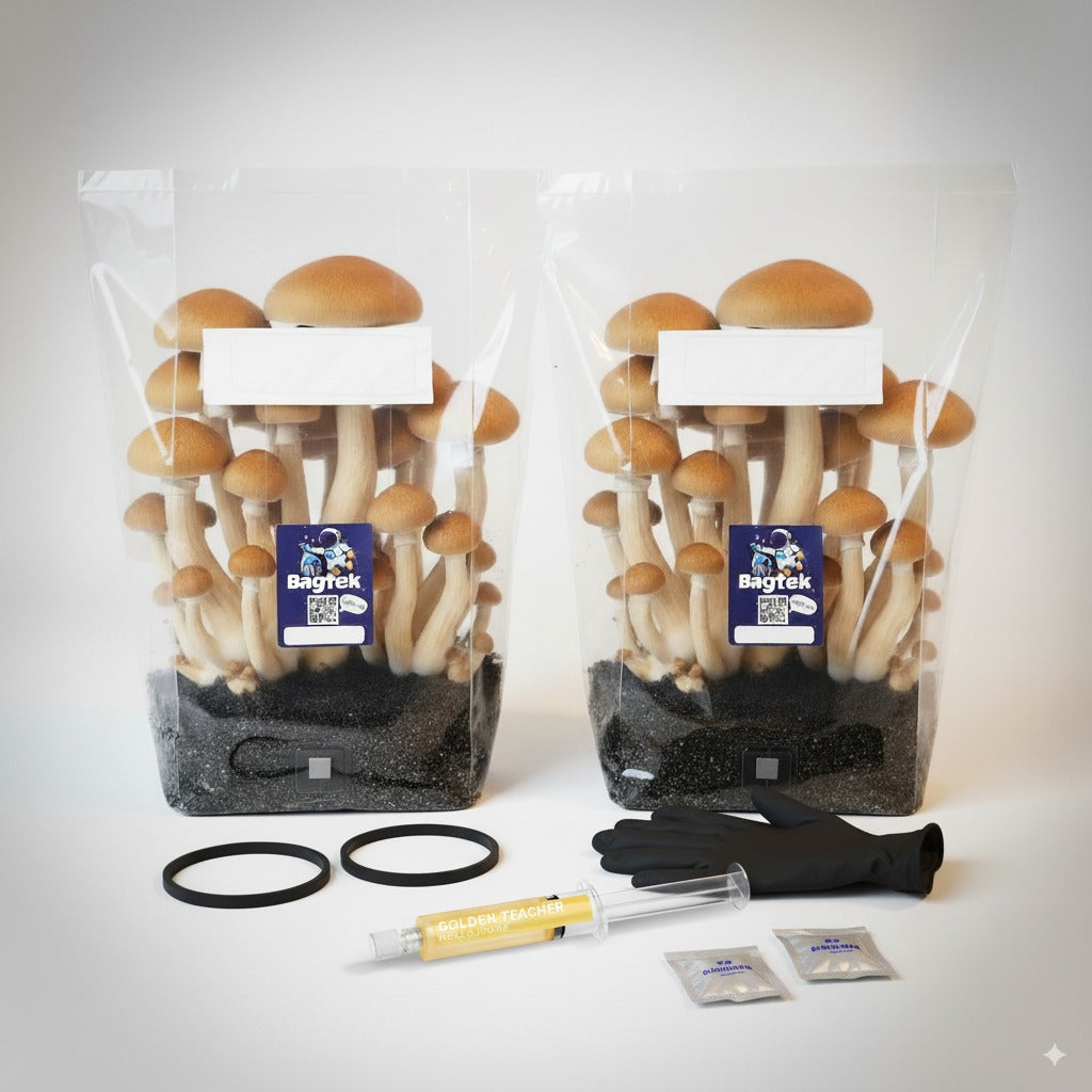 Master Mission - Mushroom Growing Kit