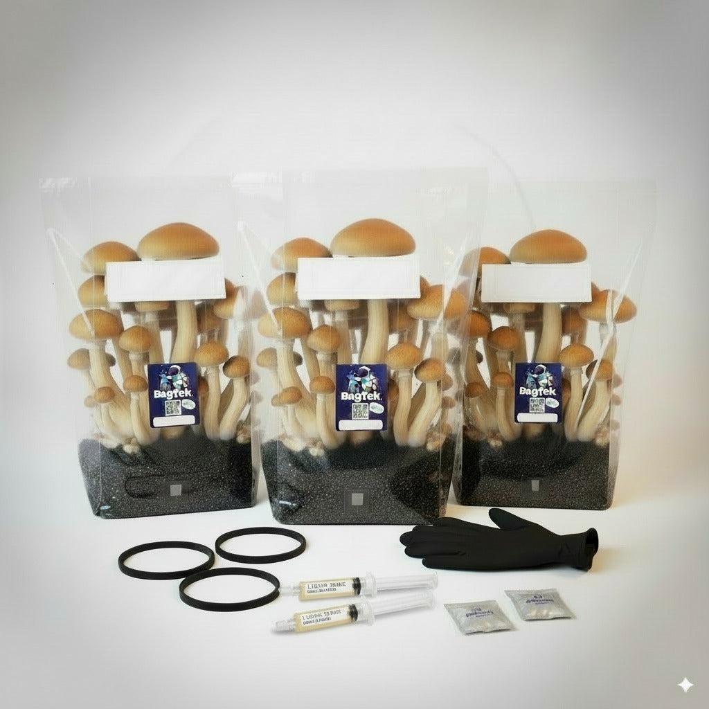 Mars Mission - Mushroom Growing Kit