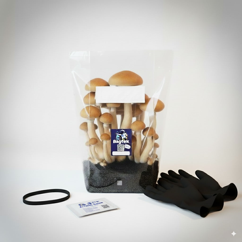 Mushroom Growing Kit w/ Spores+ Save 50%