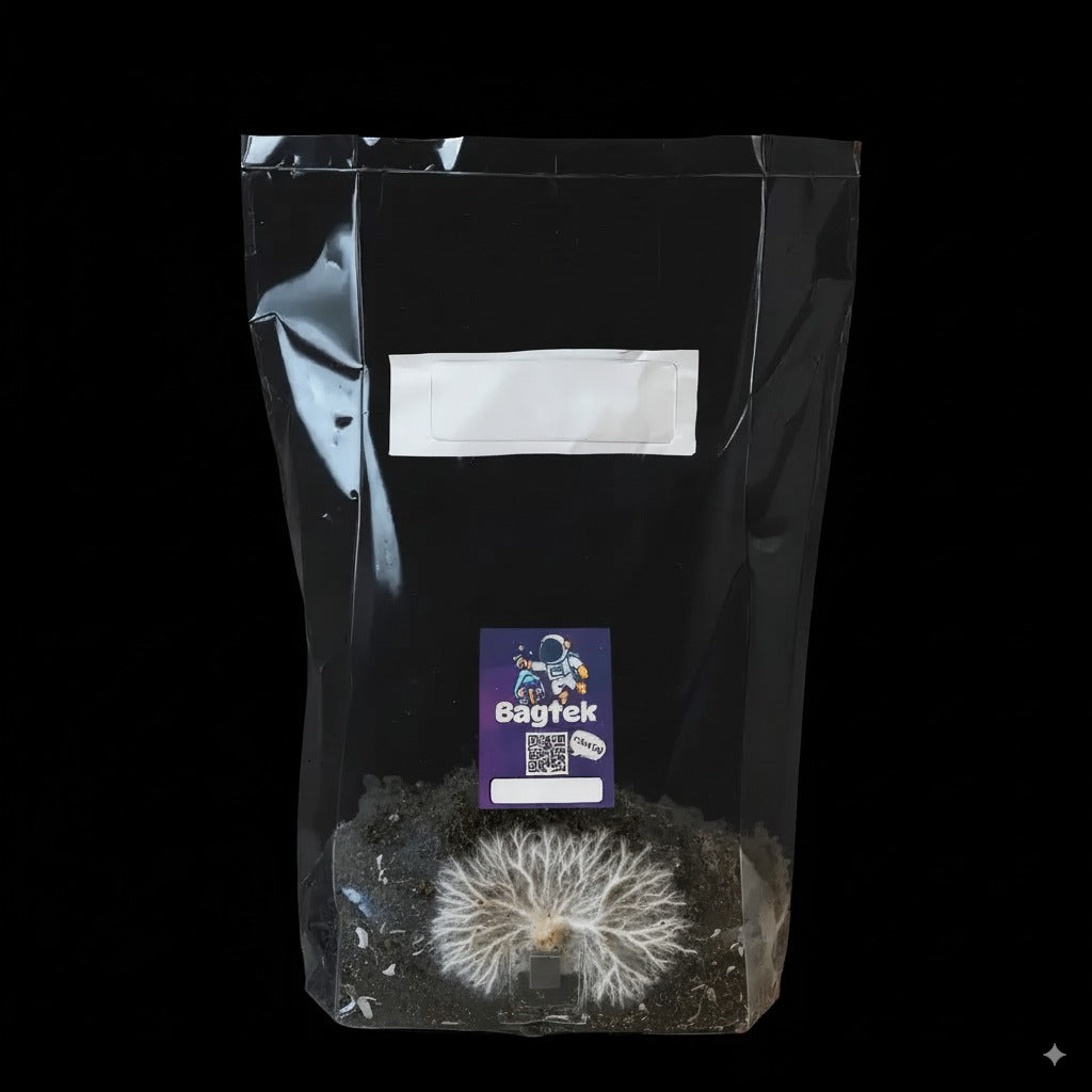 Mars Mission - Mushroom Growing Kit