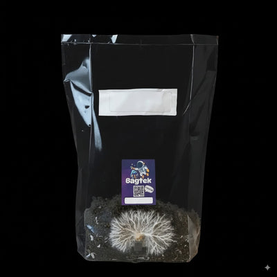 Shake the bag when 30% Colonized2